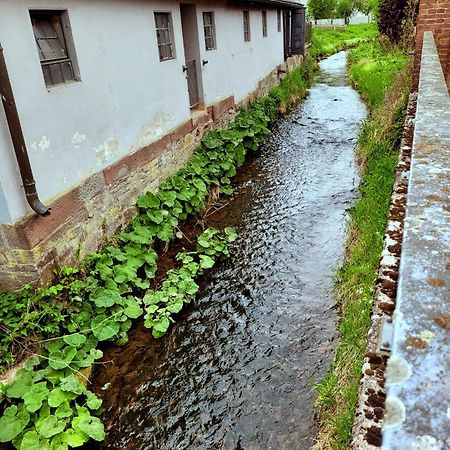 Ferienwohnung Zum Sollingtor Dassel Eksteriør billede