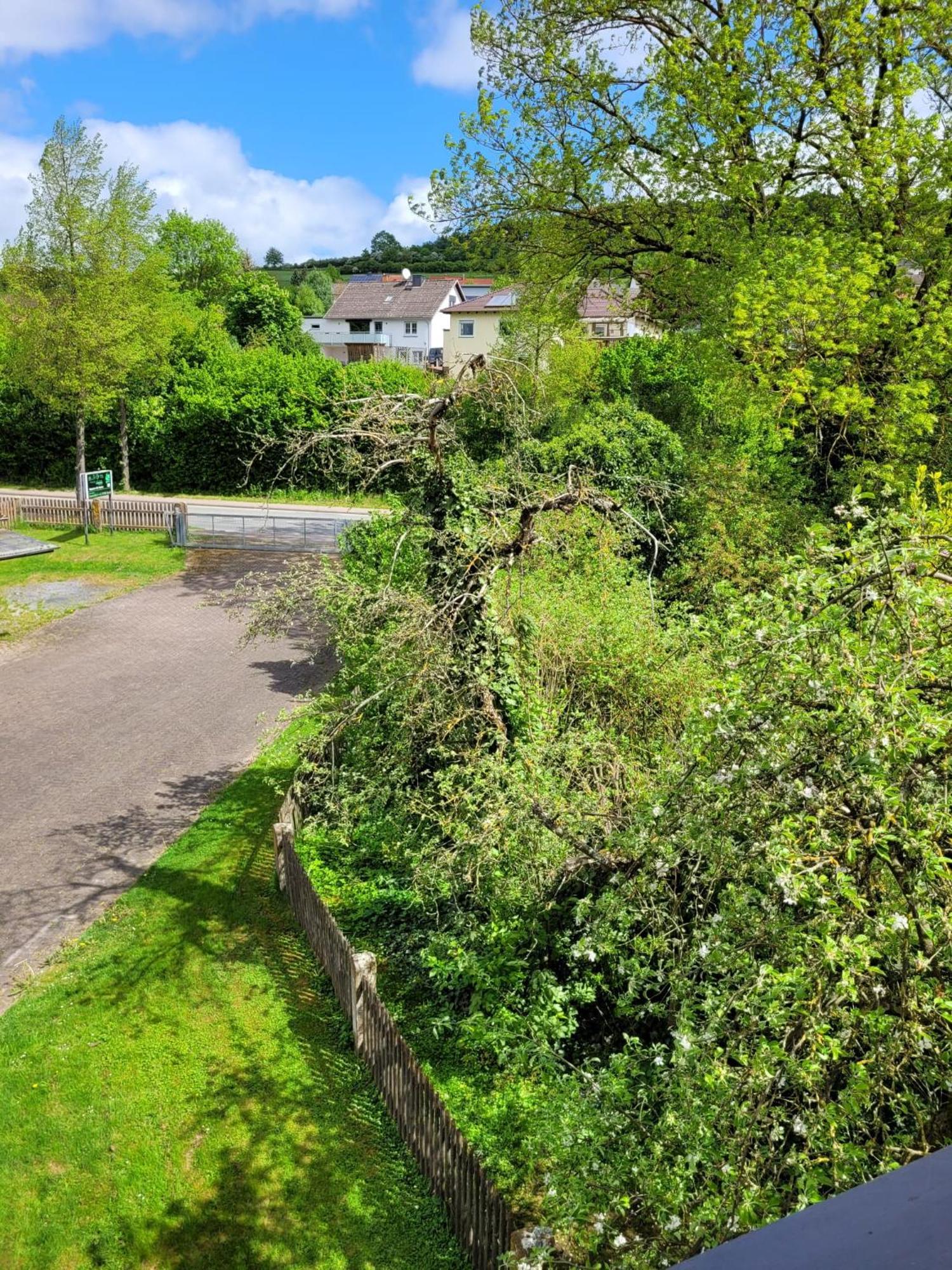 Ferienwohnung Zum Sollingtor Dassel Eksteriør billede